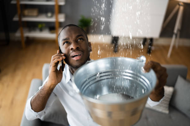 Best Local water damage restoration  in Five Points, OH