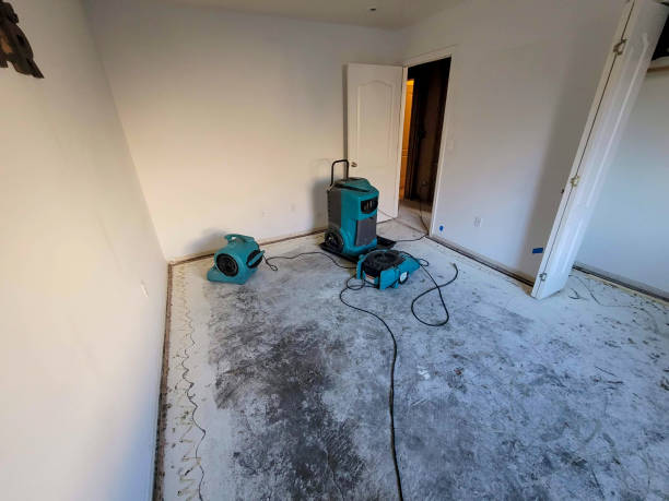 Best Ceiling water damage repair  in Five Points, OH