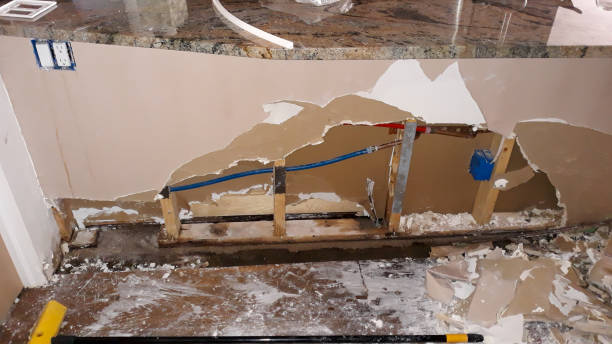 Best Mold removal after water damage  in Five Points, OH