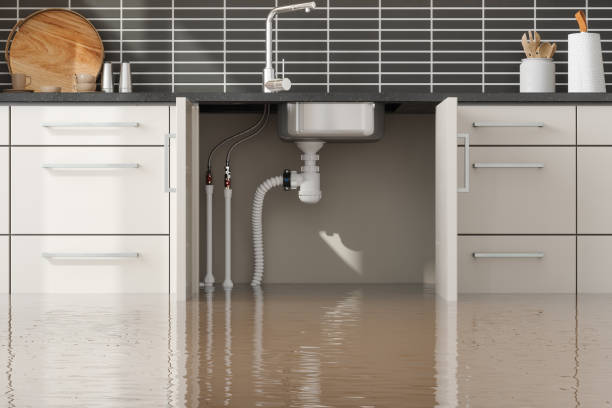 Best Flood damage cleanup  in Five Points, OH